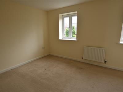 Picture 31